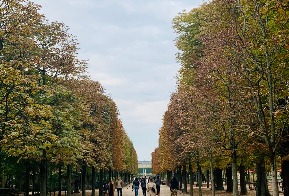 Tree-lined walking route through an autumn park